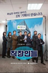 직장인들